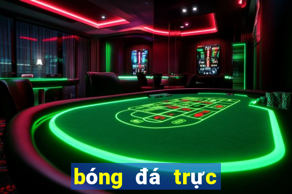 bóng đá trực tiếp nhà cái