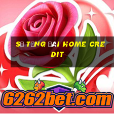 số tổng đài home credit