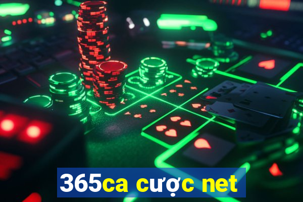 365ca cược net