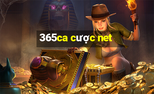 365ca cược net