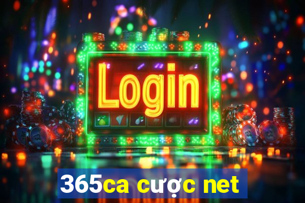 365ca cược net