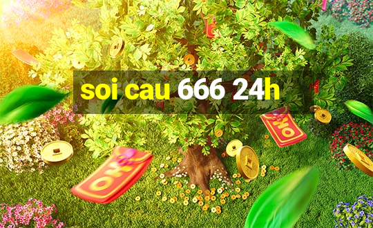 soi cau 666 24h