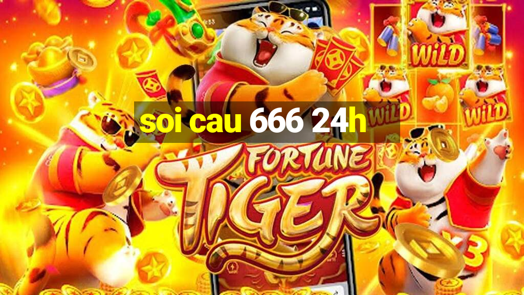 soi cau 666 24h