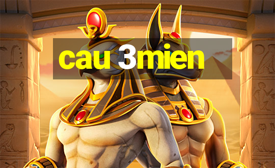 cau 3mien