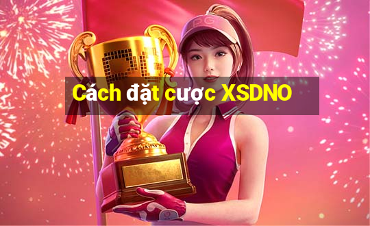 Cách đặt cược XSDNO