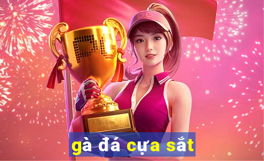 gà đá cựa sắt