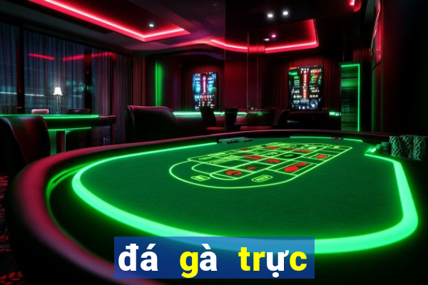 đá gà trực tiếp casino mộc bài