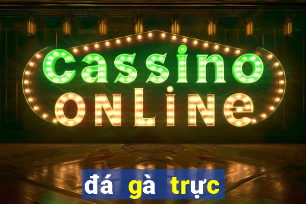 đá gà trực tiếp casino mộc bài