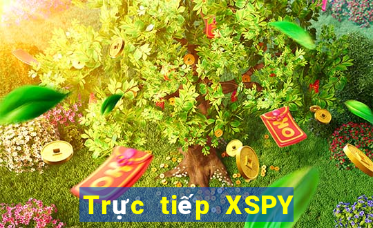 Trực tiếp XSPY ngày 27