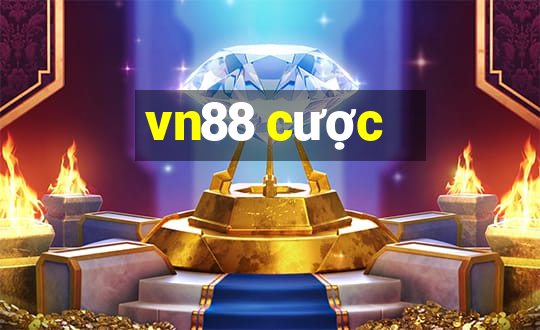 vn88 cược