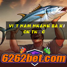 Việt nam nhanh ba kích thước