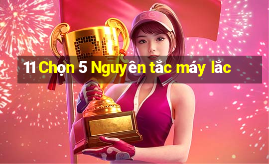 11 Chọn 5 Nguyên tắc máy lắc