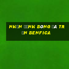 nhận định bóng đá trận benfica