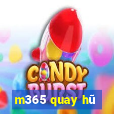 m365 quay hũ