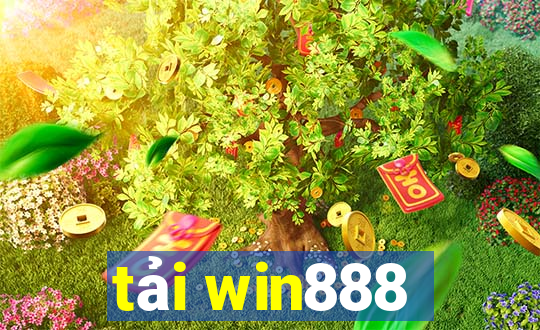 tải win888