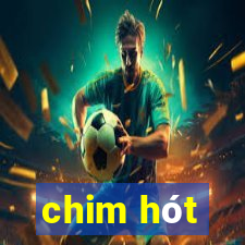 chim hót