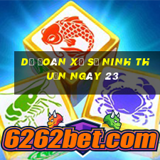 Dự Đoán Xổ Số ninh thuận ngày 23