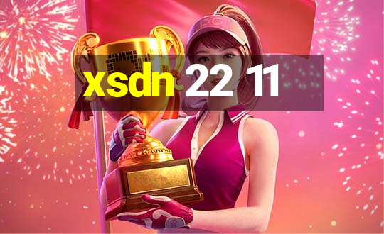 xsdn 22 11