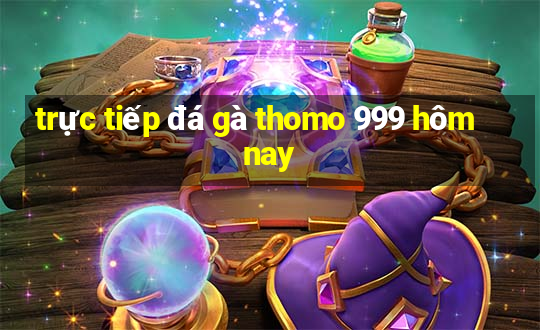 trực tiếp đá gà thomo 999 hôm nay