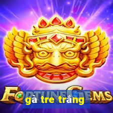 gà tre trắng