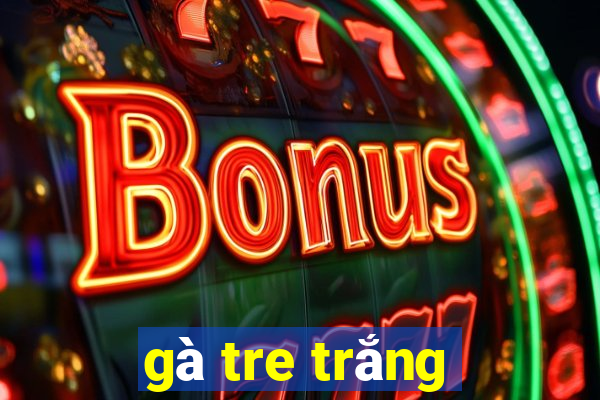 gà tre trắng