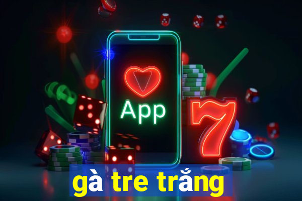 gà tre trắng