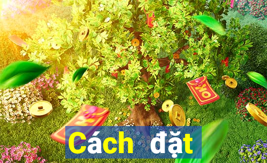 Cách đặt cược XSLD Thứ 7