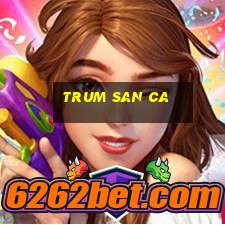 trum san ca