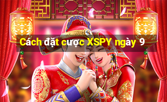 Cách đặt cược XSPY ngày 9