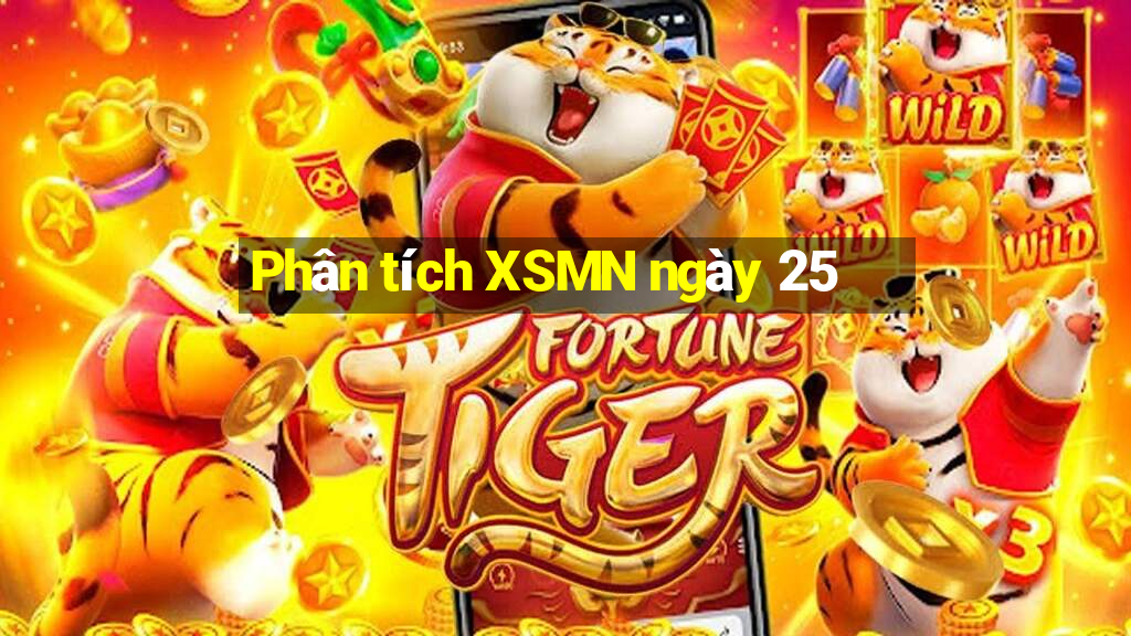 Phân tích XSMN ngày 25