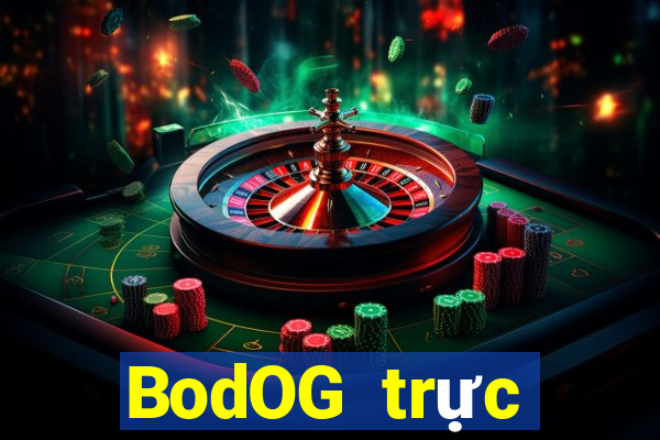 BodOG trực tuyến chó