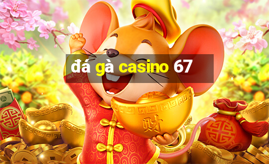 đá gà casino 67