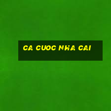 ca cuoc nha cai