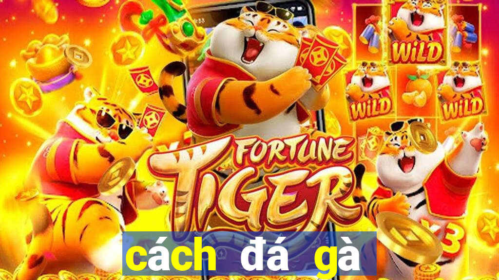 cách đá gà trên mạng