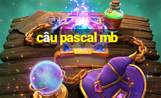 câu pascal mb