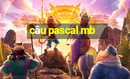 câu pascal mb