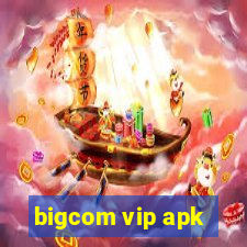 bigcom vip apk