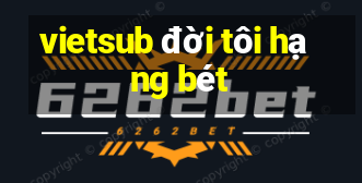 vietsub đời tôi hạng bét