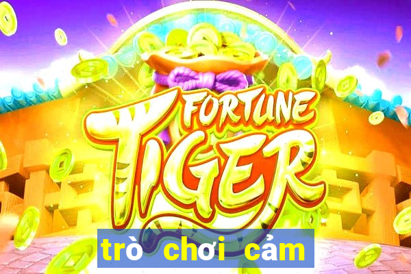 trò chơi cảm giác mạnh