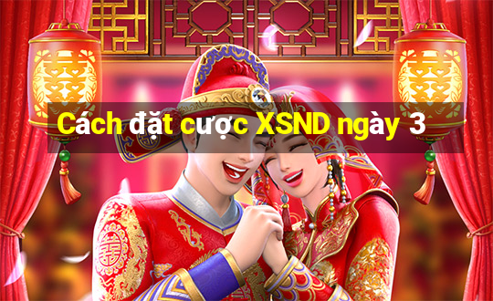 Cách đặt cược XSND ngày 3