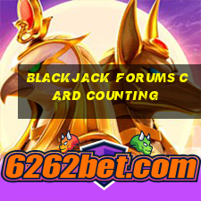 blackjack forums card counting