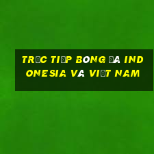 trực tiếp bóng đá indonesia và việt nam