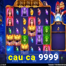 cau ca 9999