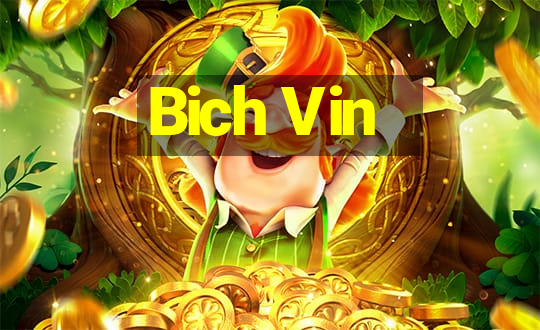 Bich Vin