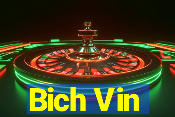 Bich Vin