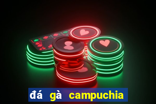 đá gà campuchia 22 4 2024