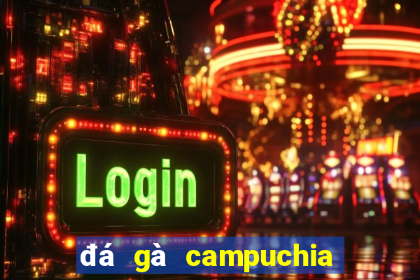 đá gà campuchia 22 4 2024