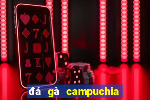 đá gà campuchia 22 4 2024