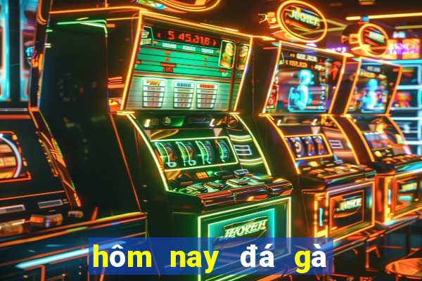 hôm nay đá gà màu gì ngon