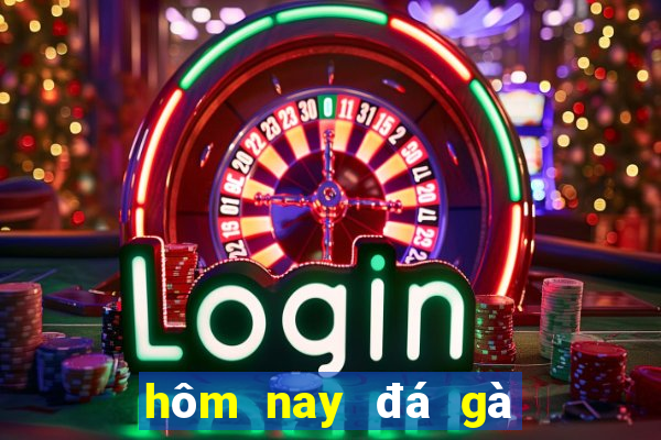 hôm nay đá gà màu gì ngon